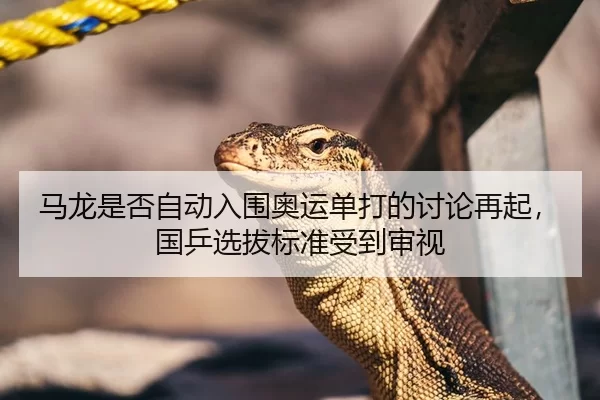 马龙是否自动入围奥运单打的讨论再起，国乒选拔标准受到审视