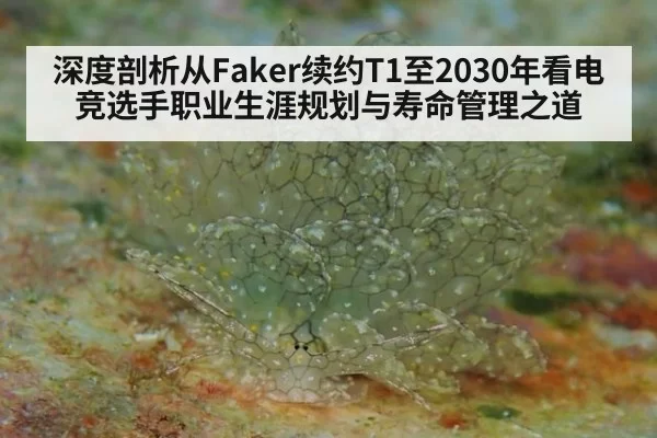 深度剖析从Faker续约T1至2030年看电竞选手职业生涯规划与寿命管理之道
