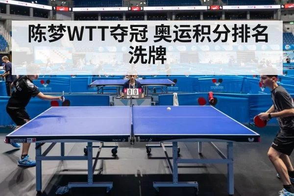 table tennis match